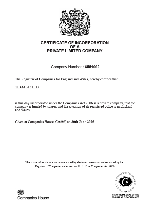 Team 313 Formation Doc